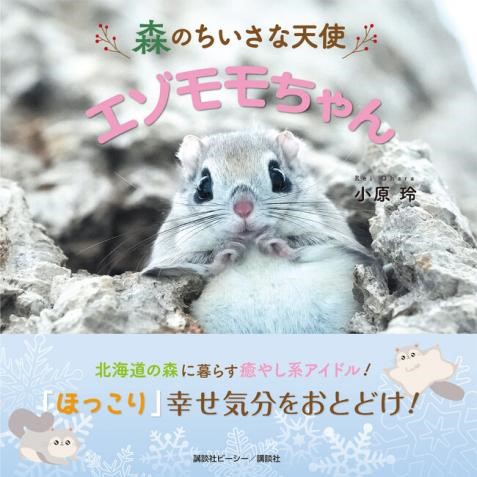 小原さんの最後の写真集となった『森のちいさな天使 エゾモモちゃん』