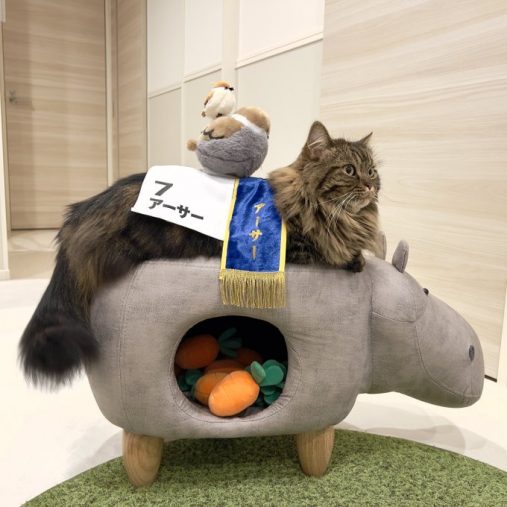 アニマルスツールでくつろぐことも