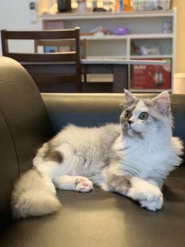 一点を見つめる