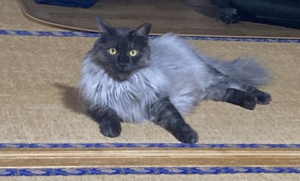 スキンシップが大好き