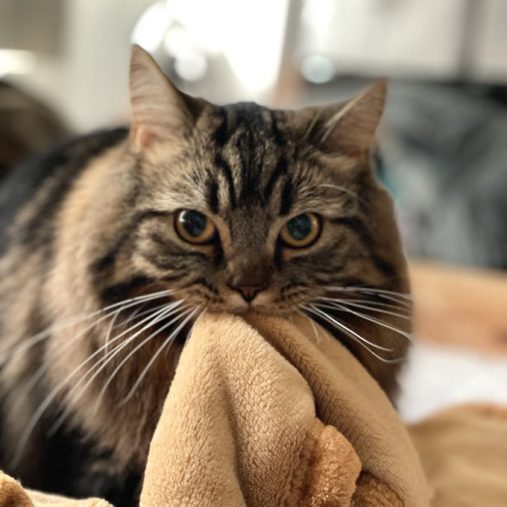 布団の味見をすることも