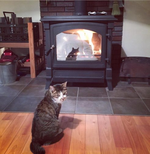 薪ストーブの前が定位置のむぎ