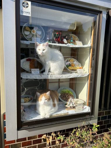 「そば処 大むら」の看板猫・ぺた郎くん(下)とコンちゃん(上)