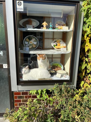 同じ階にいるの珍しいそう