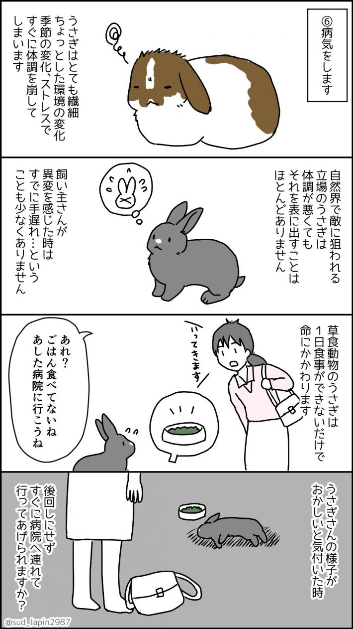 うさぎ飼うの大変マンガ6