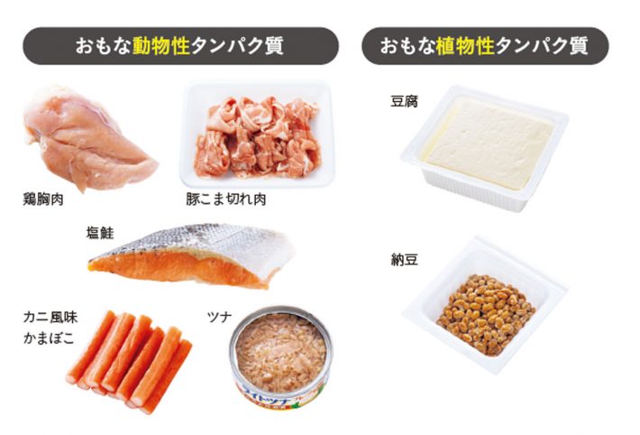 おもな動物性タンパク質