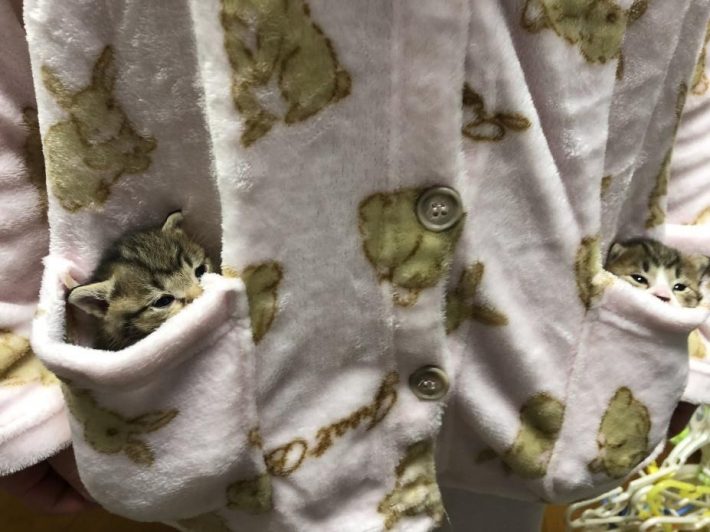 パジャマの中でぬくぬく