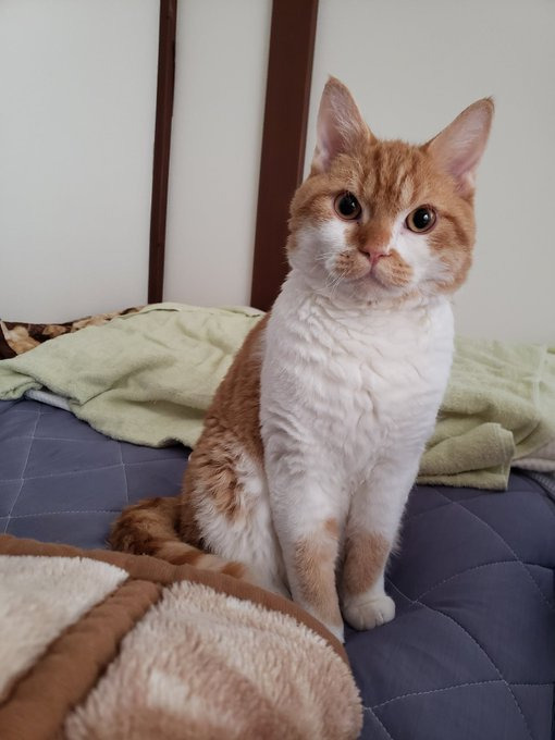 顔にチューもしてきた