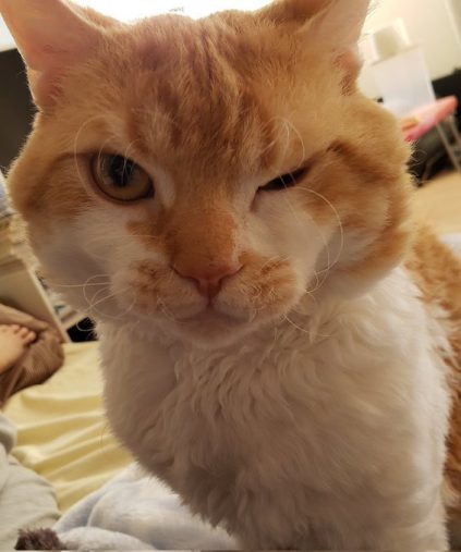 ウインクもお手のもの