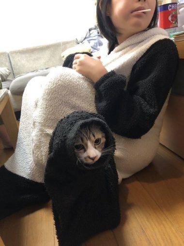 ひょっこり顔だし