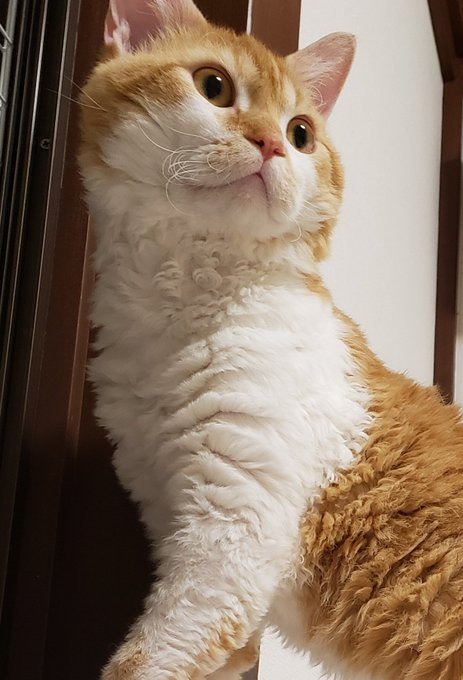 凛々しいたたずまい