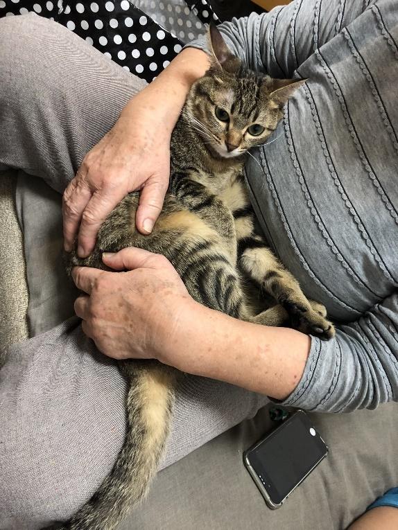 母親にぴたっと寄り添う