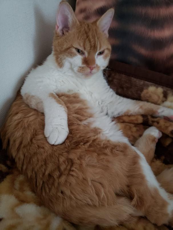 生後10ヶ月の頃