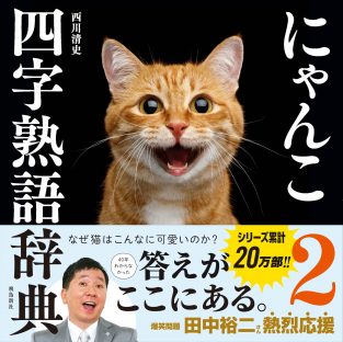 深い意味が、絶妙に猫とマッチする