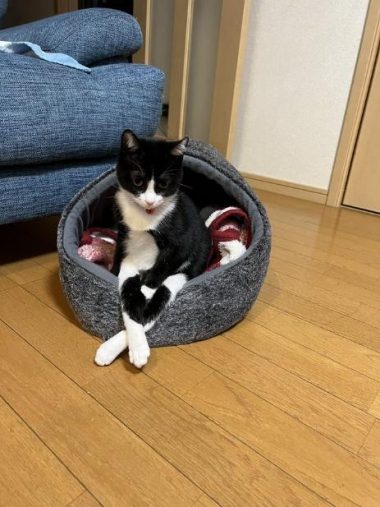 座り方も可愛い