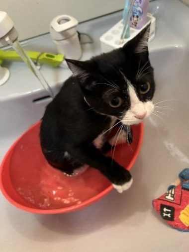 お風呂に入る様子