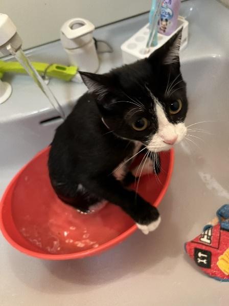 お風呂に入る様子