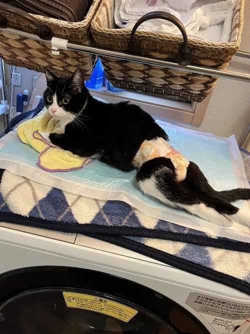 下半身麻痺になったと診断された