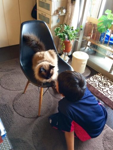 息子くんとの絆も強い