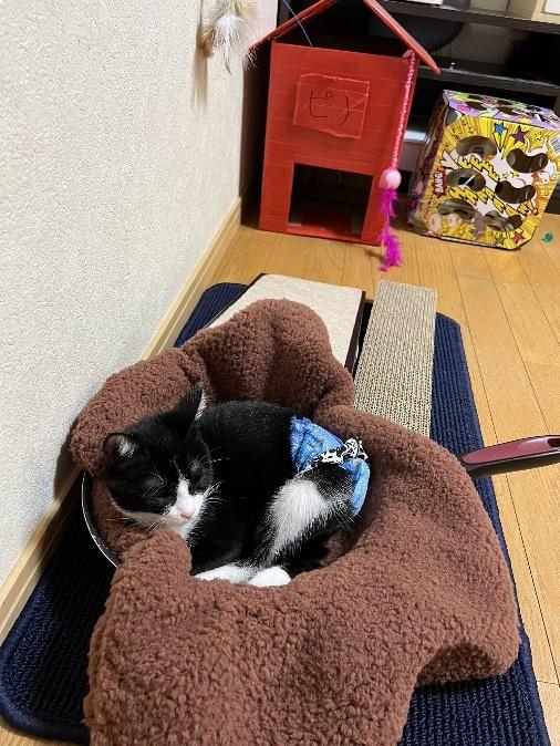 お尻の傷は6週間後に完治