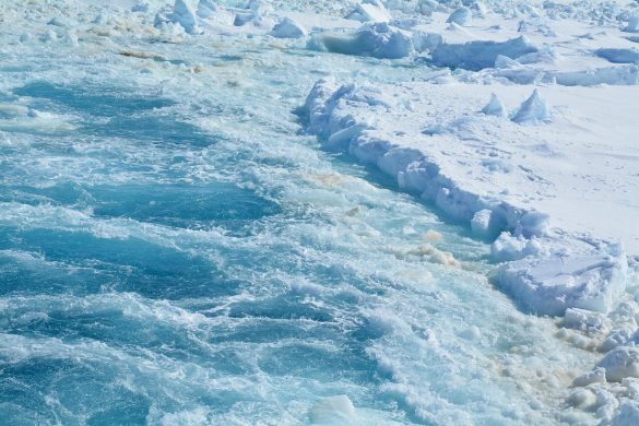 南極観測船しらせに乗って南極へ、船酔いは……