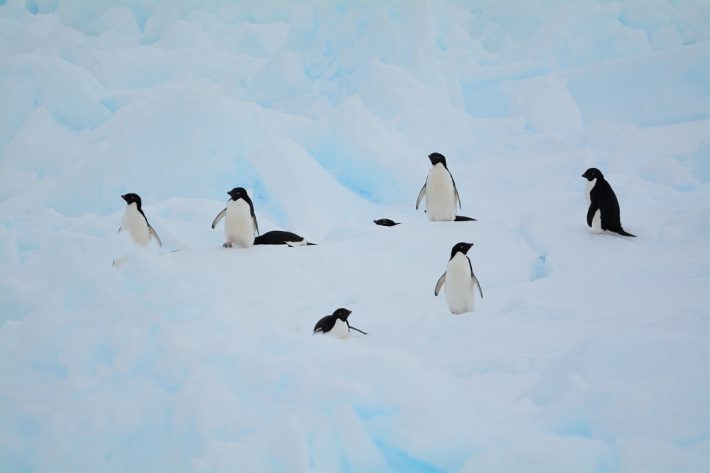 年齢的に参加するかとても悩んだ