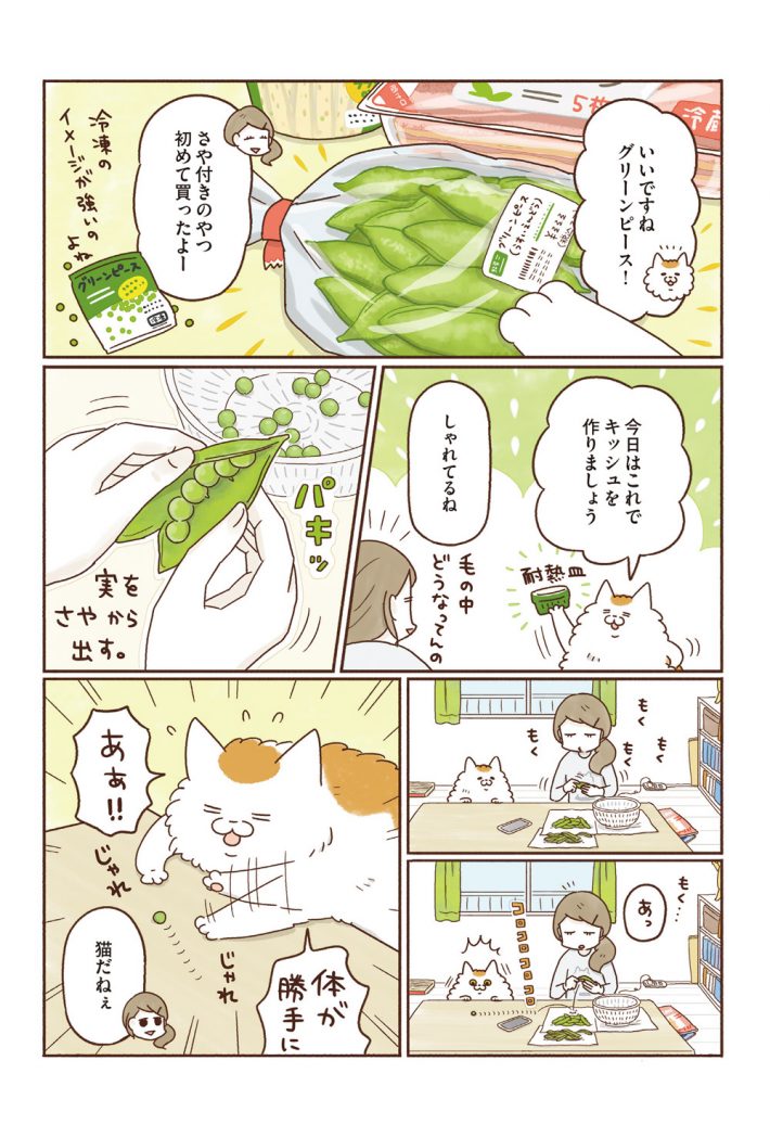 『ねこの手キッチン』28