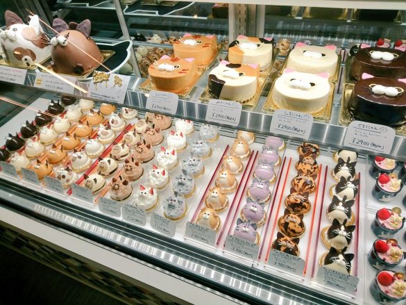 全国からお客さんがやってくる