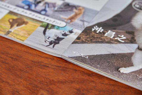 両ページを180度しっかり開くことができます