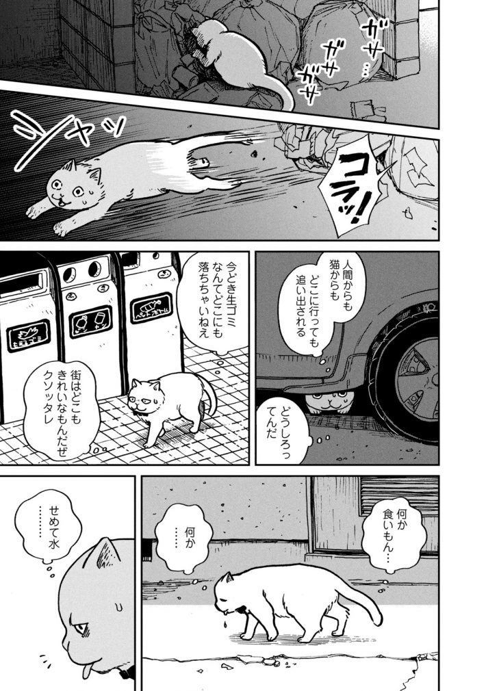 『ツレ猫 マルルとハチ』6