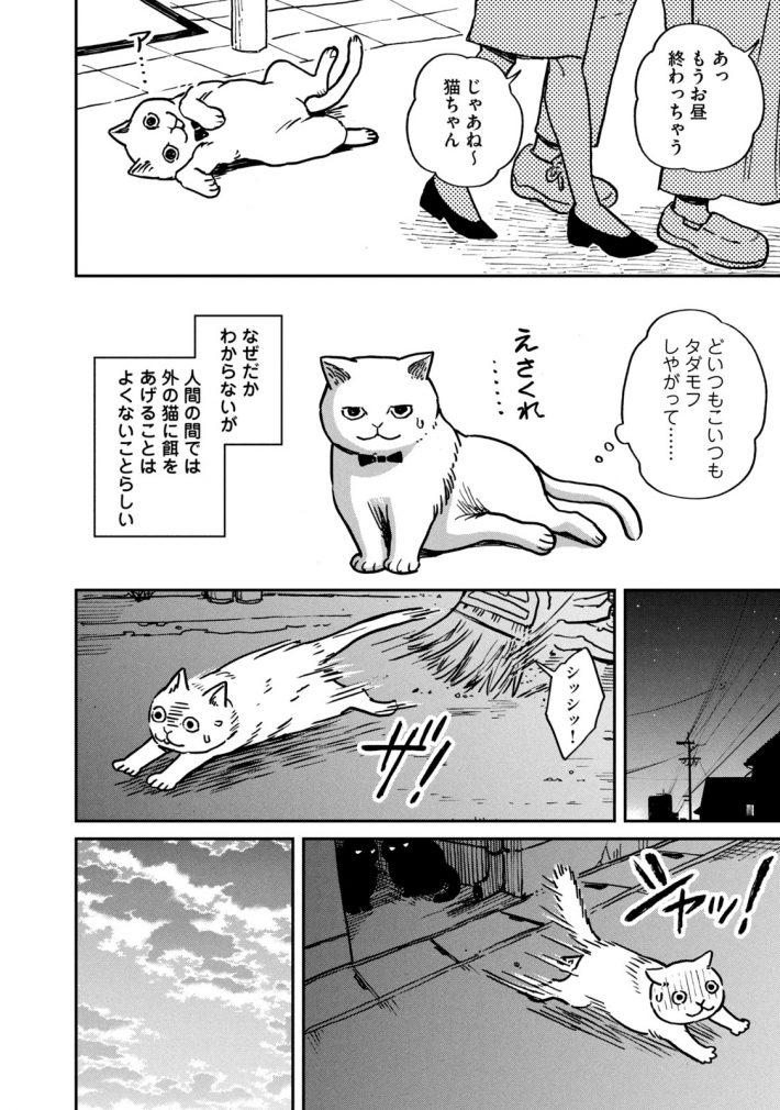 『ツレ猫 マルルとハチ』9