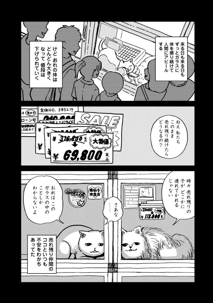 『ツレ猫 マルルとハチ』11