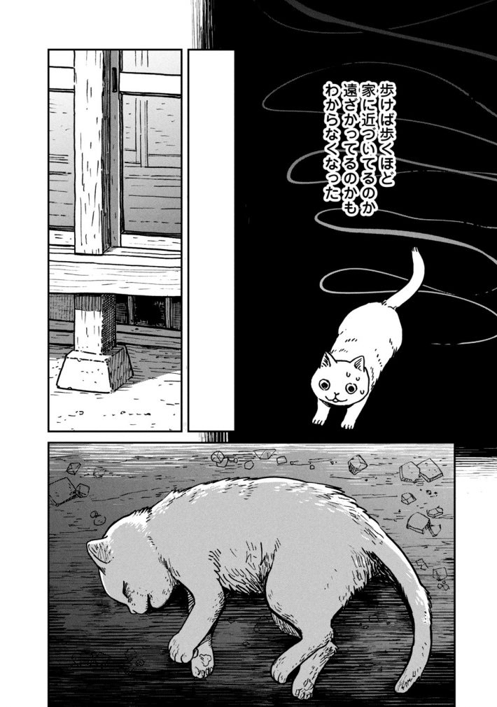 『ツレ猫 マルルとハチ』13