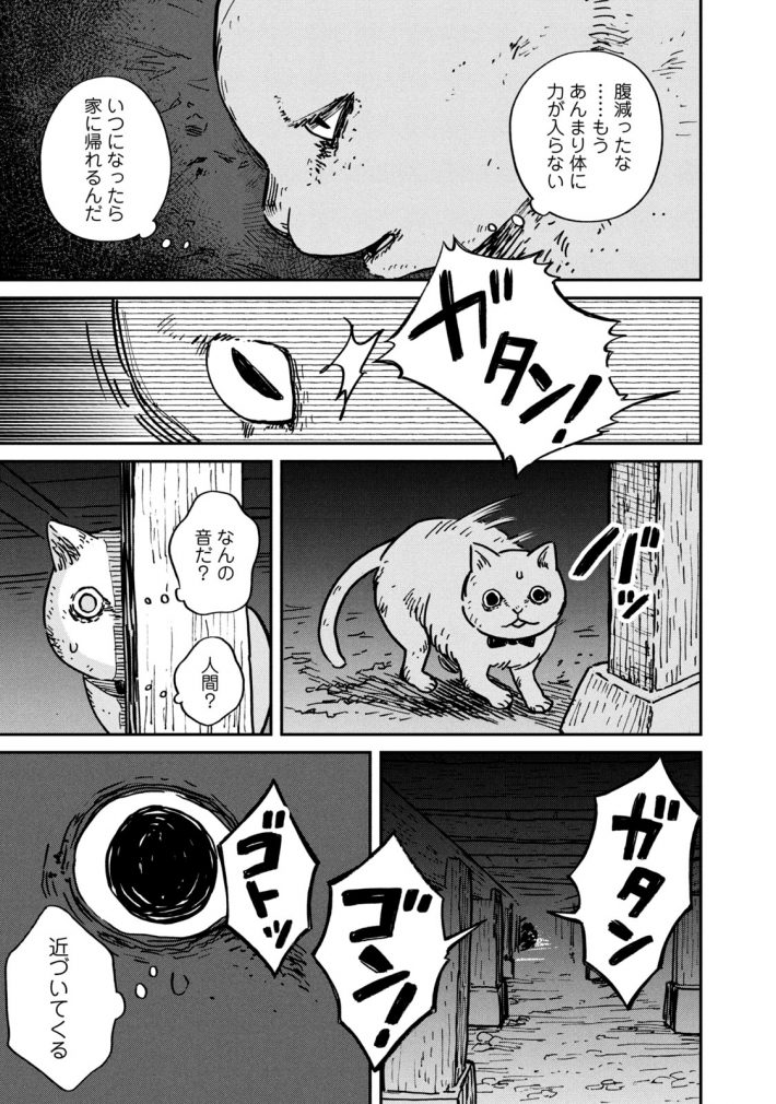 『ツレ猫 マルルとハチ』14