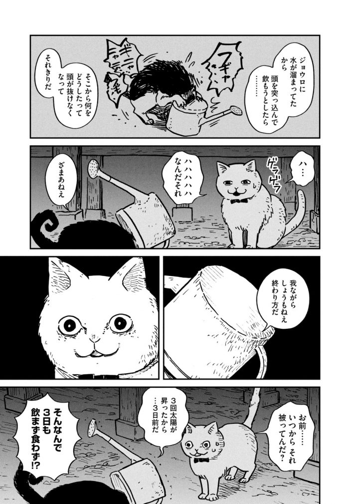 『ツレ猫 マルルとハチ』18