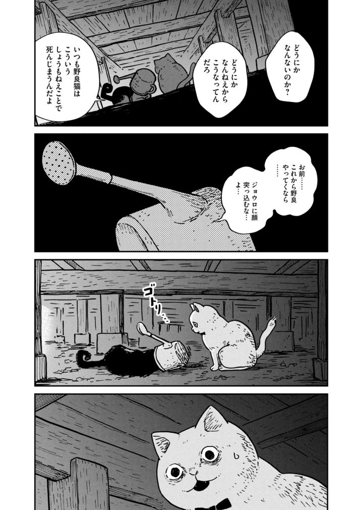 『ツレ猫 マルルとハチ』19