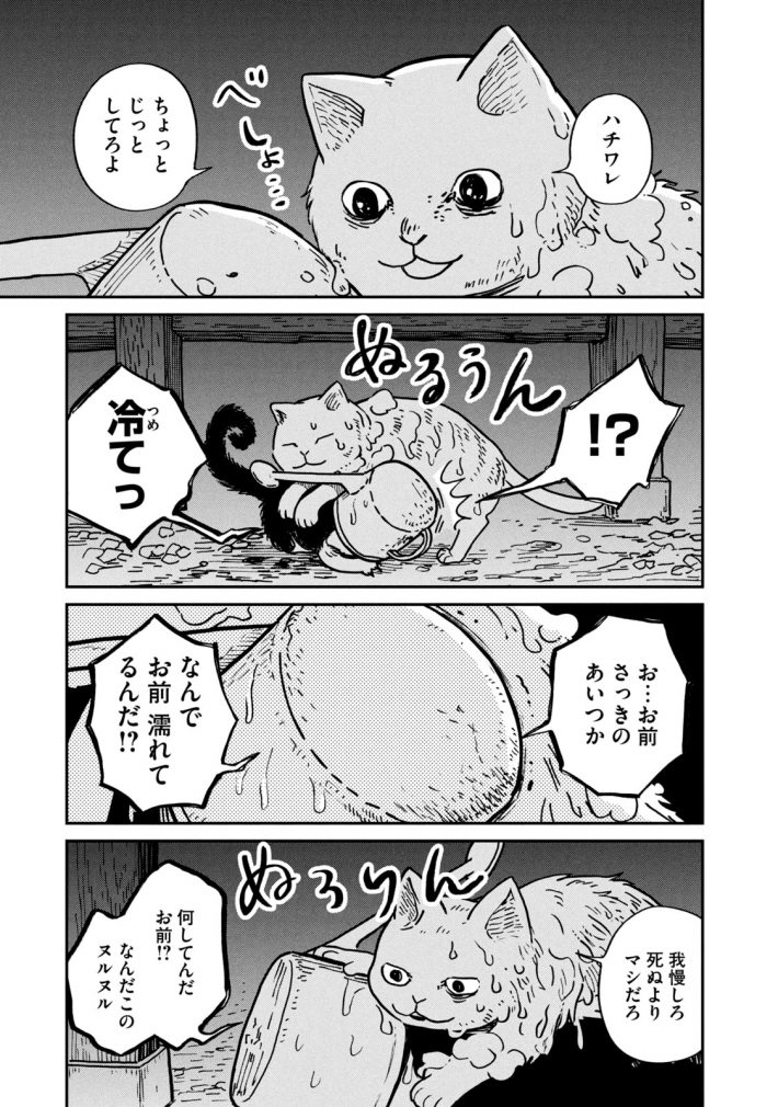 『ツレ猫 マルルとハチ』24