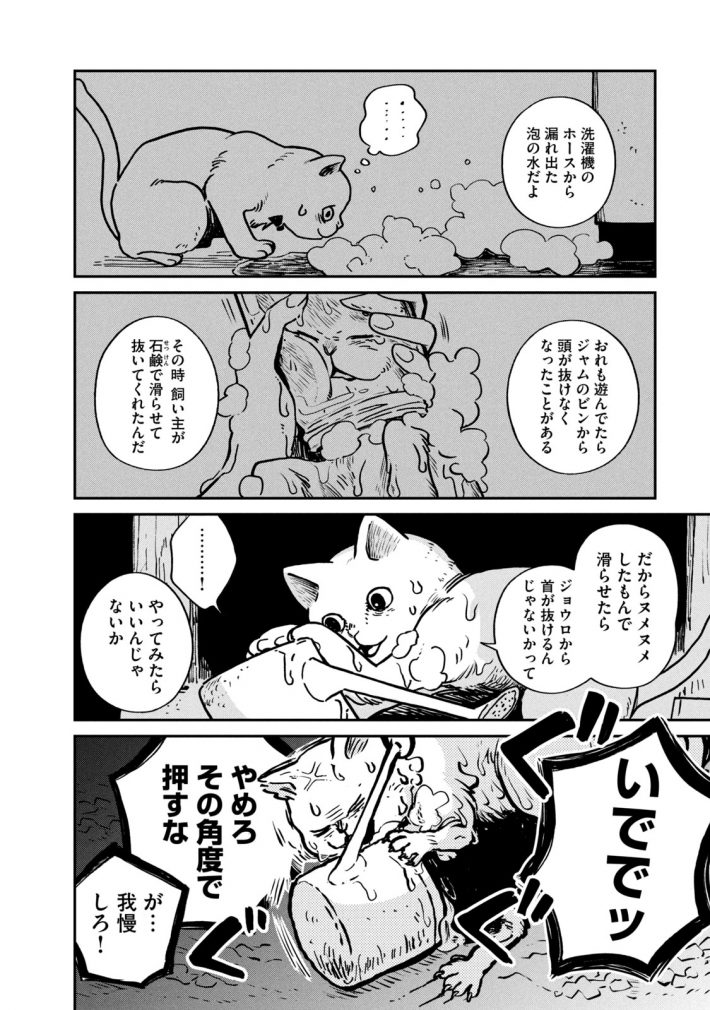 『ツレ猫 マルルとハチ』25