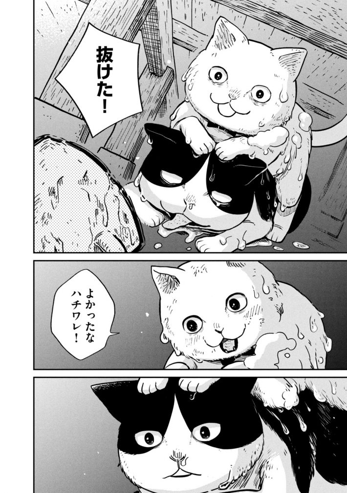 『ツレ猫 マルルとハチ』27