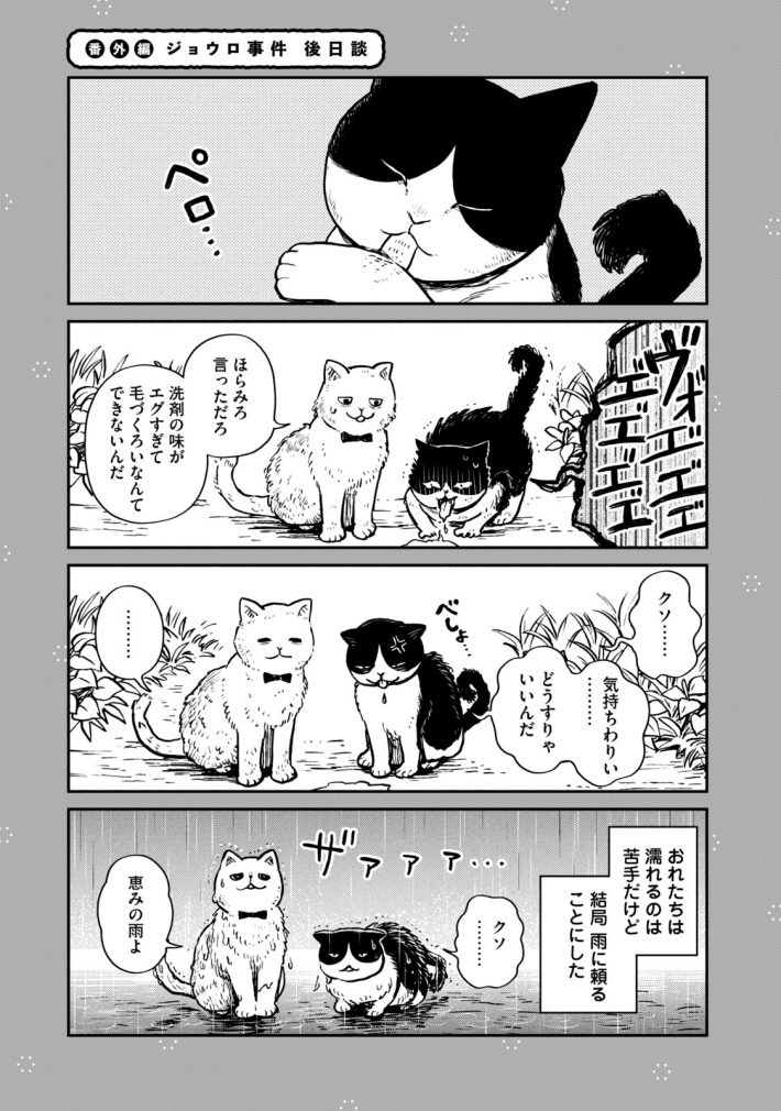 『ツレ猫 マルルとハチ』30