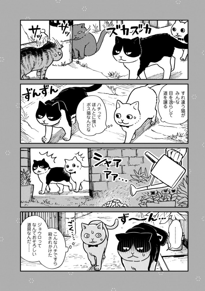 『ツレ猫 マルルとハチ』31