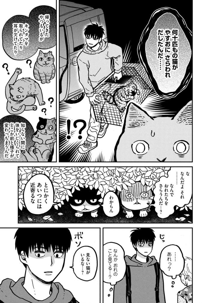 『ツレ猫 マルルとハチ』38