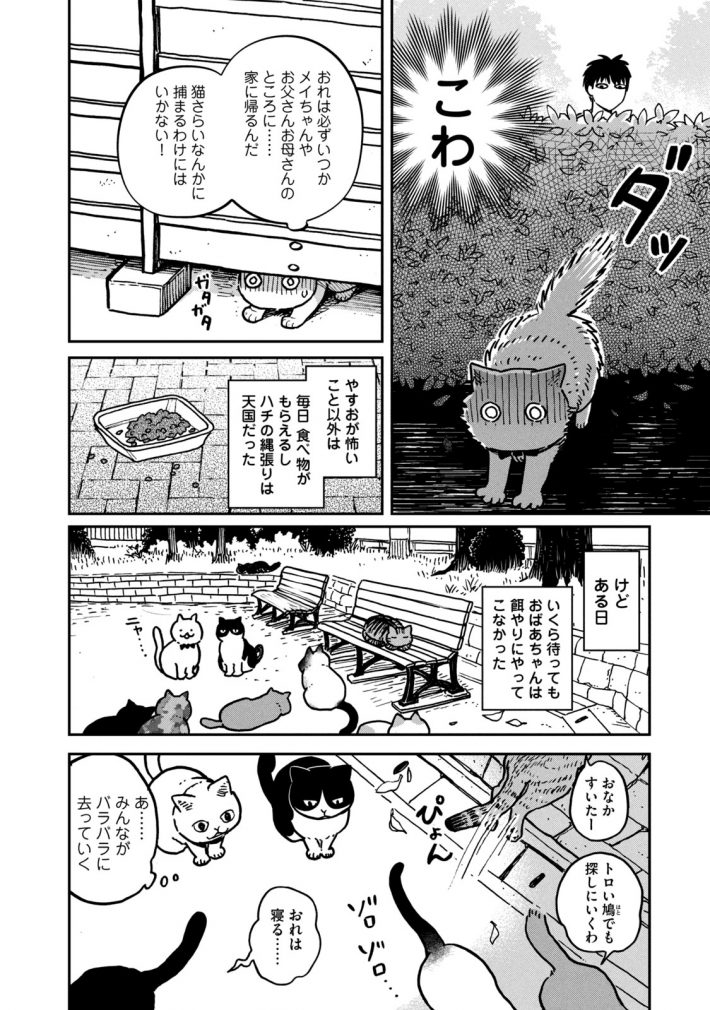 『ツレ猫 マルルとハチ』39