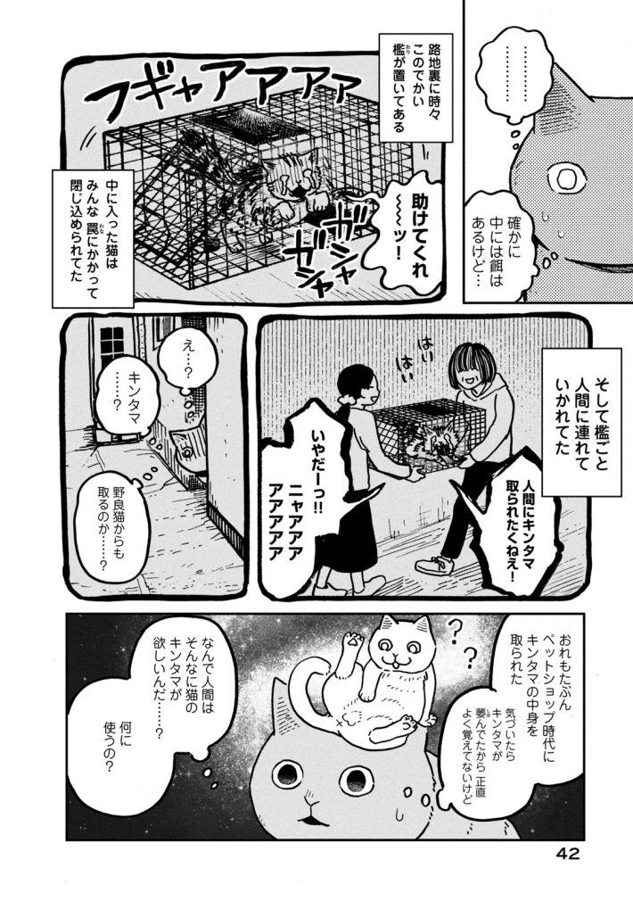 『ツレ猫 マルルとハチ』41