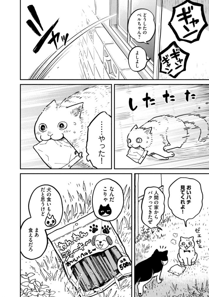 『ツレ猫 マルルとハチ』45