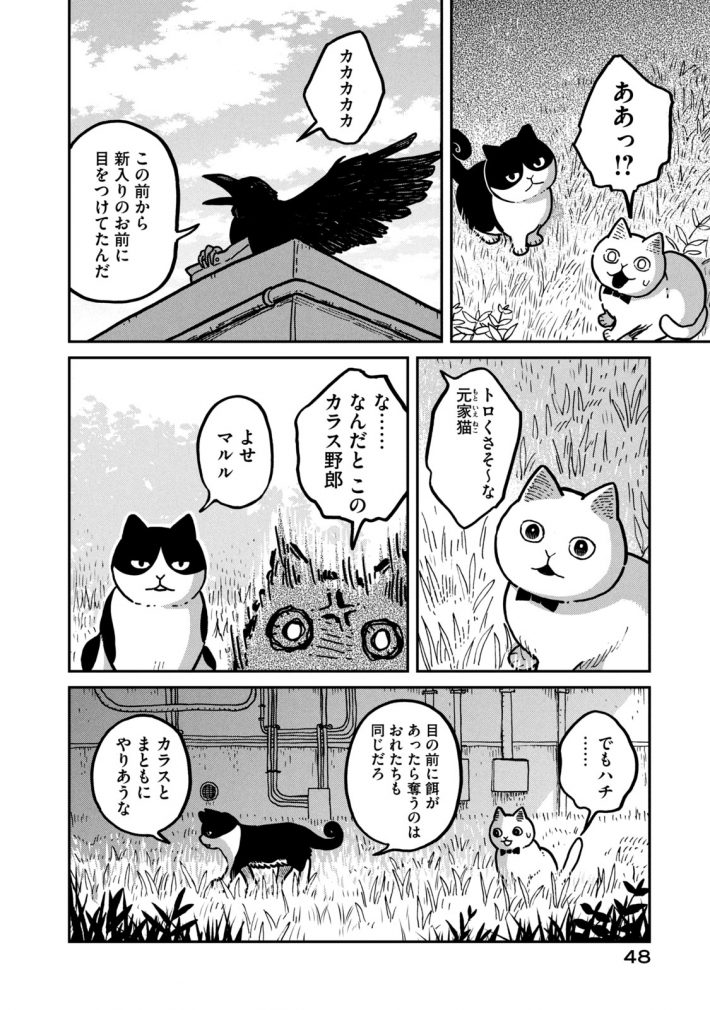 『ツレ猫 マルルとハチ』47