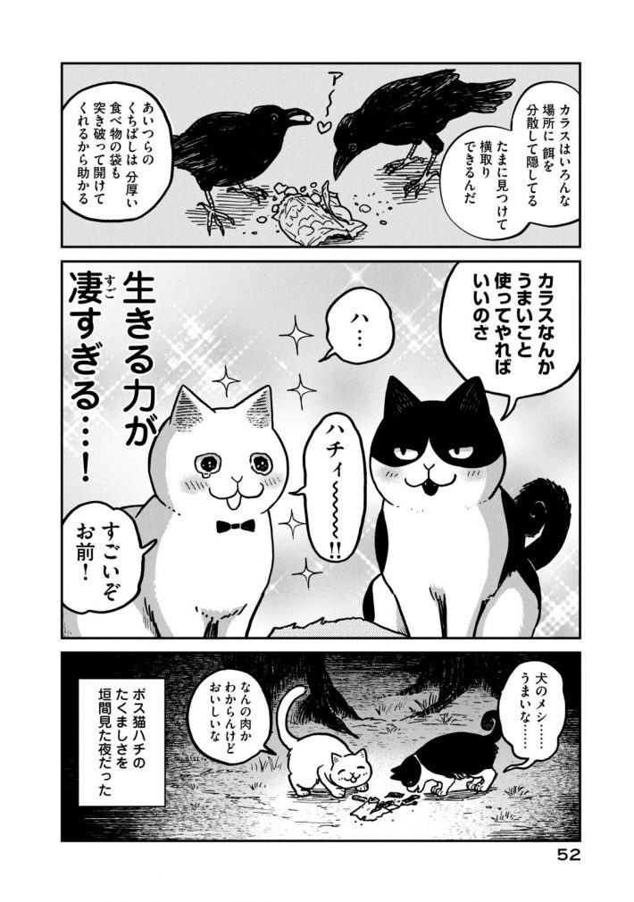 『ツレ猫 マルルとハチ』51