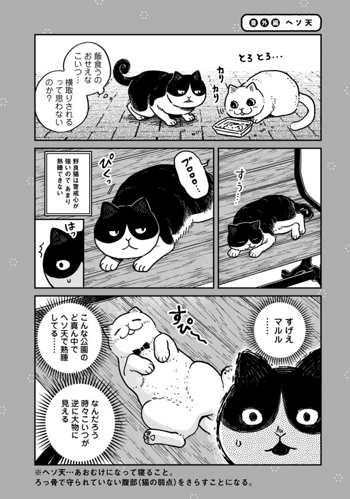 『ツレ猫 マルルとハチ』59