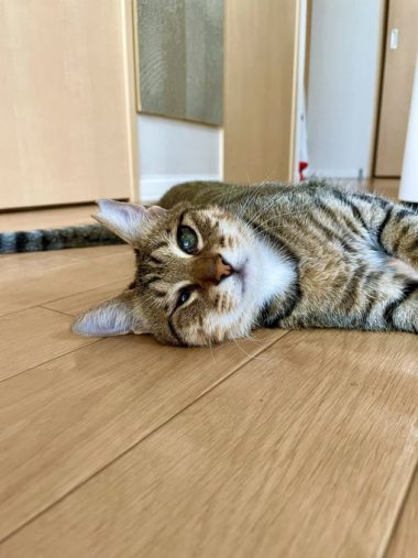 ”生きる意味”であるあんずちゃん