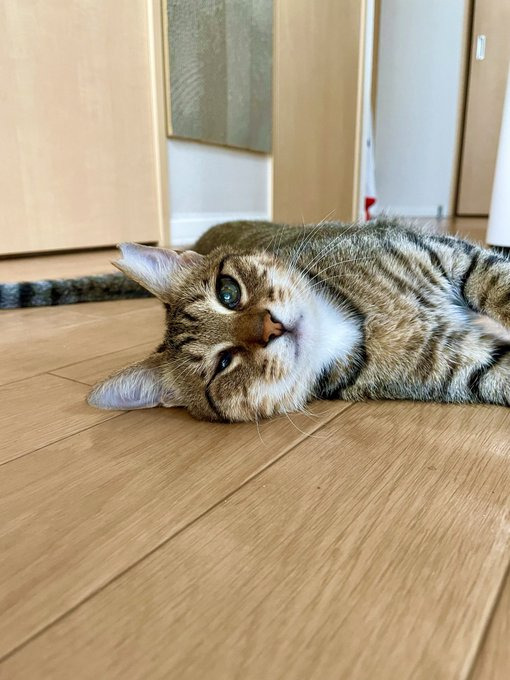 ”生きる意味”であるあんずちゃん